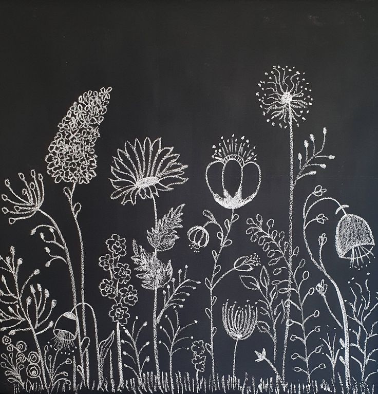 a chalkboard with flowers drawn on it