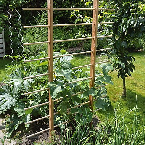 a wooden trellis in the middle of a garden