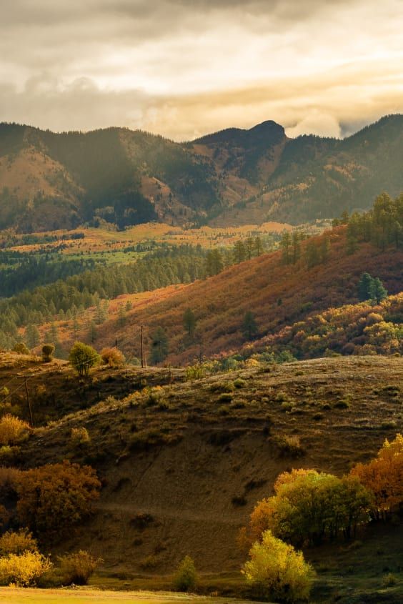 the mountains are covered with trees and grass in fall colors, as seen from across the valley