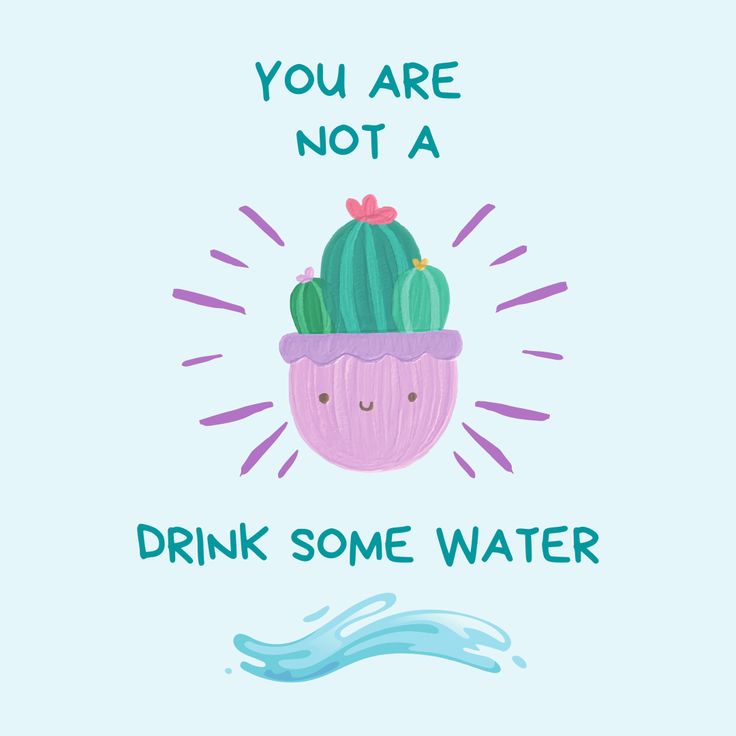 you are not a drink some water with a cactus in the pot on it and text that reads, you are not a drink some water