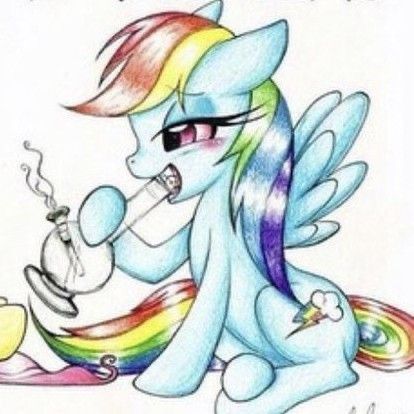 Scene Pfp, Shin Nana, My Lil Pony, Rawr Xd, Mlp Pony, Mlp My Little Pony, Silly Pictures, Matching Profile Pictures, Fluttershy