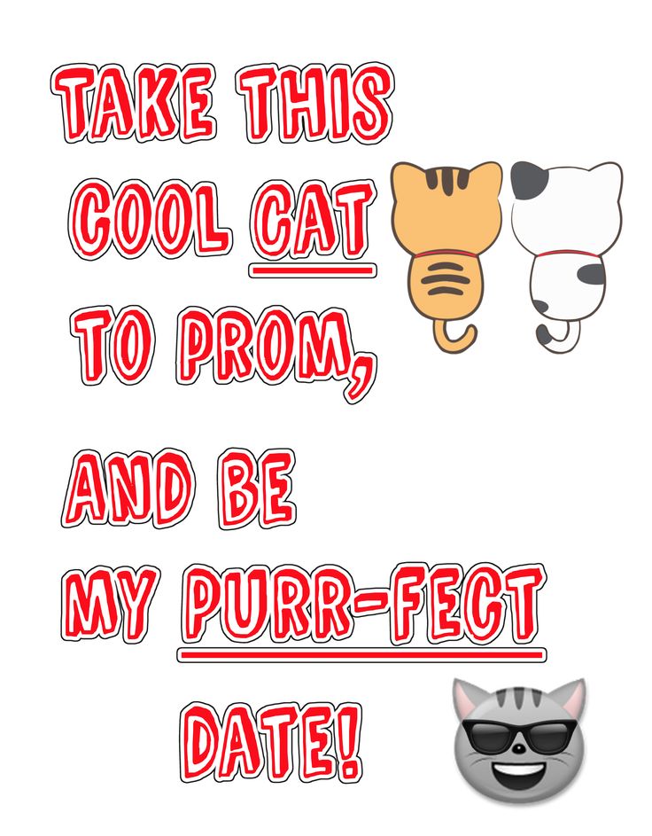 two cats and one cat with the words take this cool cat to prom and be my purr - fet date