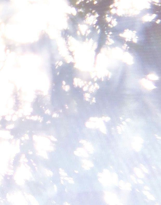 the sun shines brightly through the branches of a tree in this photo, which appears to be blurry