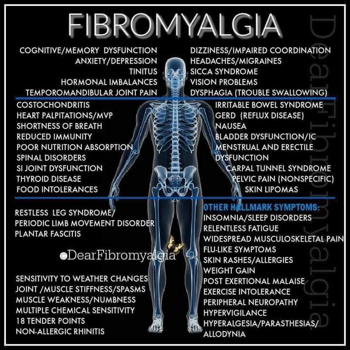 Muscle Weakness And Fatigue, Pain Journal, Fibermyalgia Symptoms, Ehlers Danlos Syndrome Hypermobility, Christmas Abbott, Extreme Fatigue, Chronic Pain Awareness, St Augustine Beach, Fibro Warrior