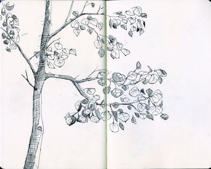 an open notebook with a drawing of a tree and flowers on it's side