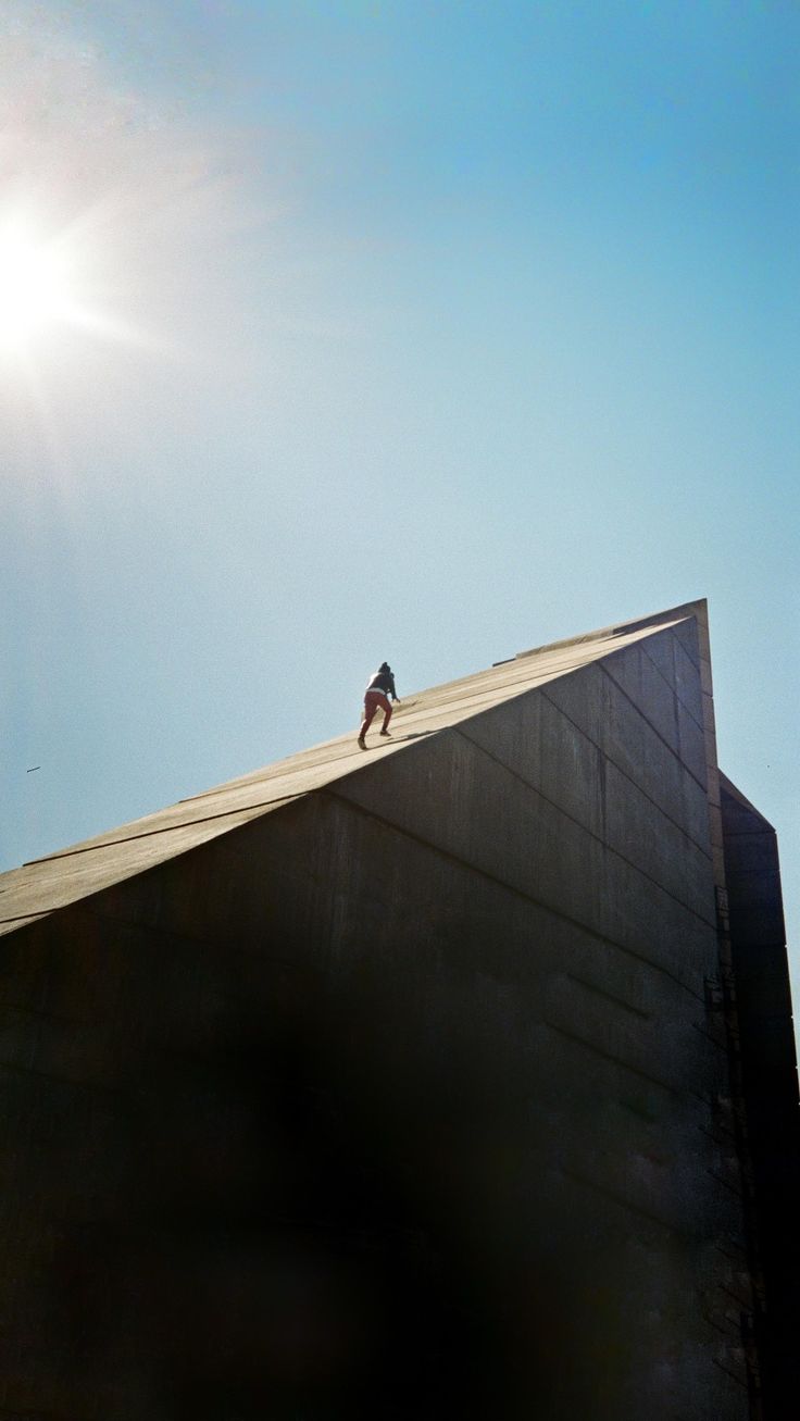 a person standing on top of a roof with the sun shining behind them and a bird flying overhead