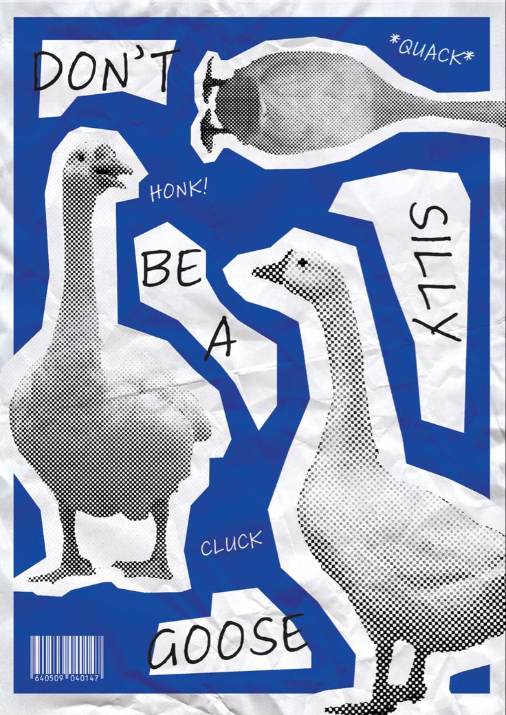 an image of two geese with the words don't be a silly goose on them