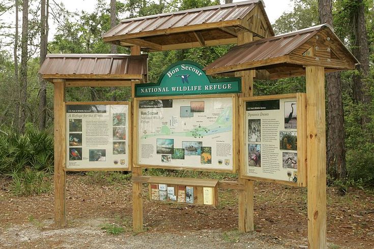 a wooden sign with information about wildlife in the background and trees around it on both sides