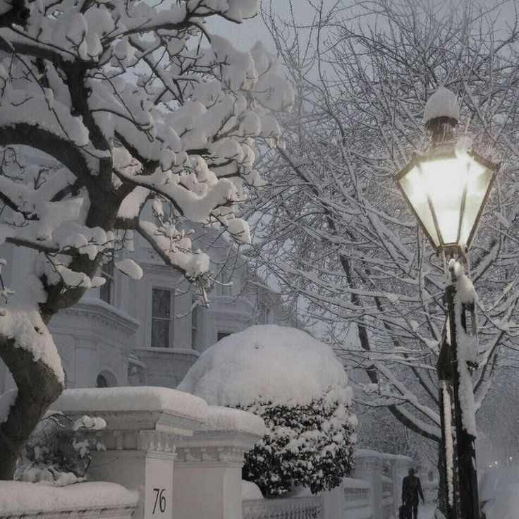 a street light covered in snow next to trees