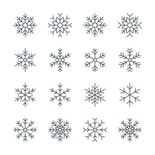 twelve snowflakes are shown in black and white