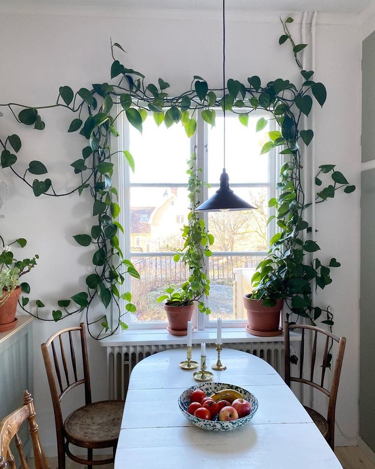 a dining room table with plants on the window sill