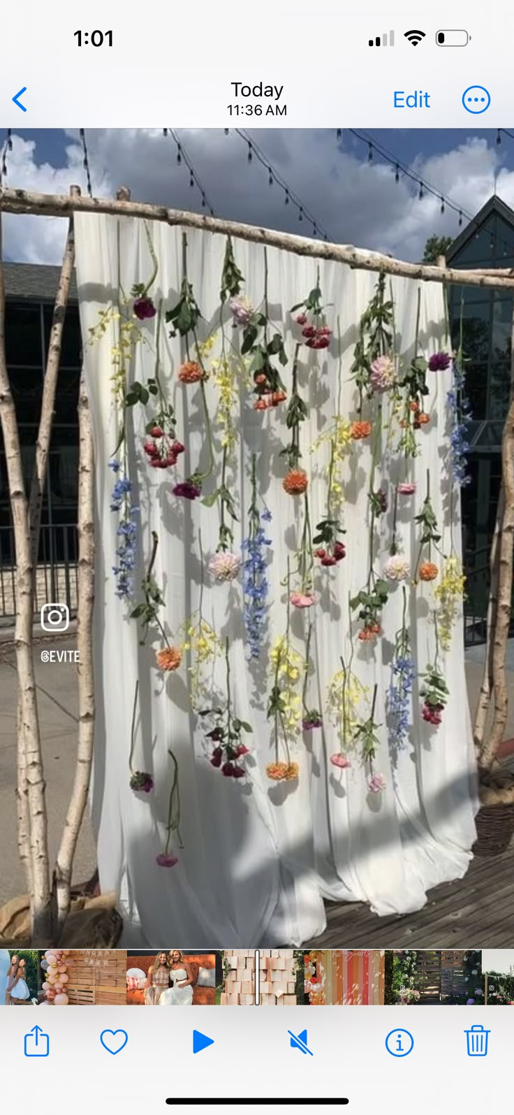 an image of flowers hanging on a curtain