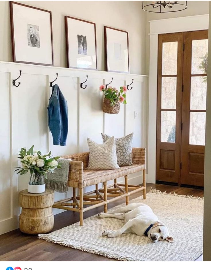 a white dog laying on the floor in front of a bench with three pictures above it