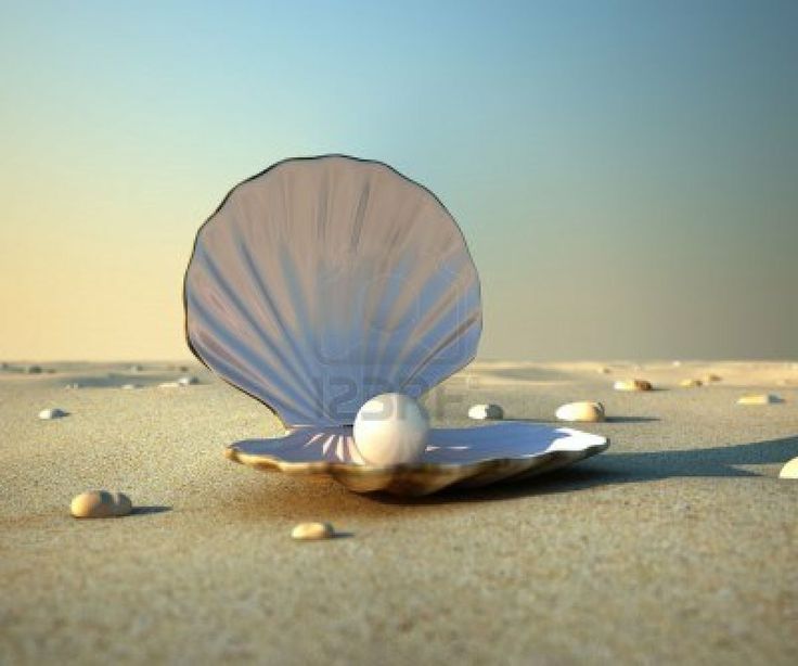 an image of a seashell on the beach with pearls in it's shell