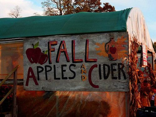 a sign that says fall apples cider on the side of a building with an apple tree in the background