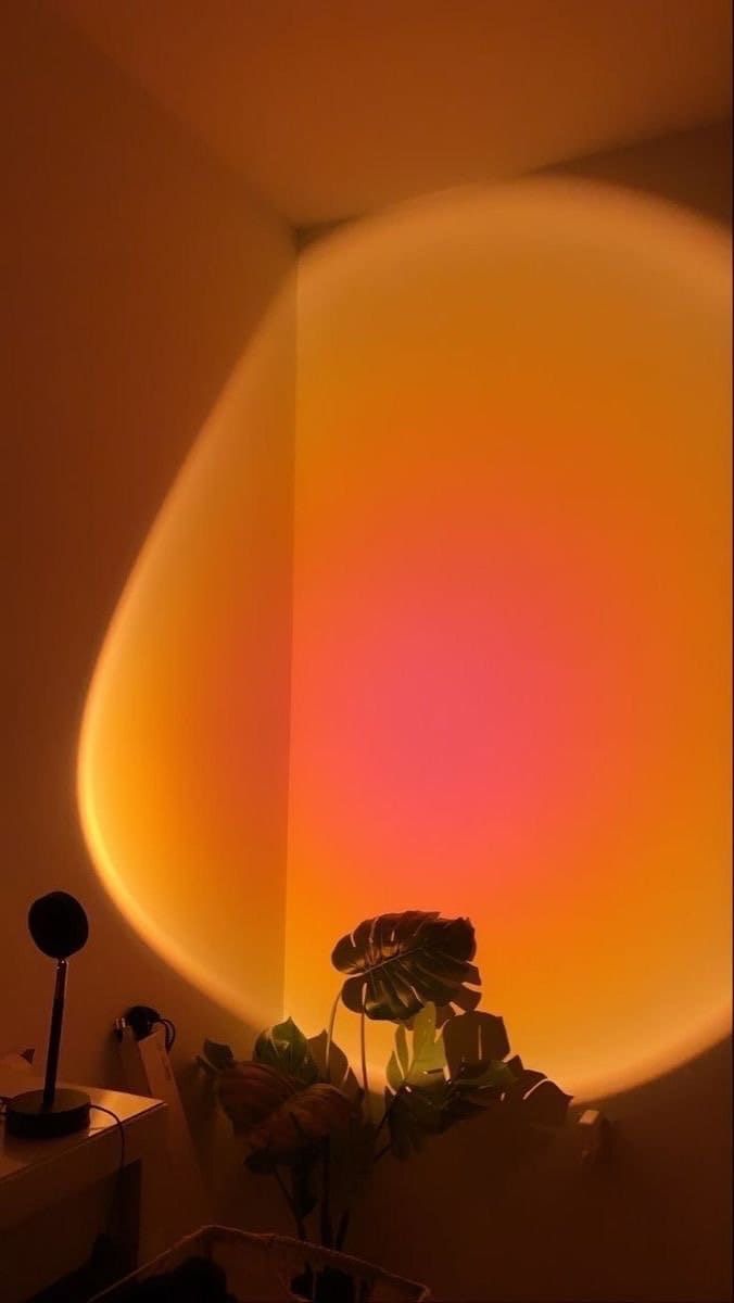 a potted plant sitting on top of a table next to a light that is red