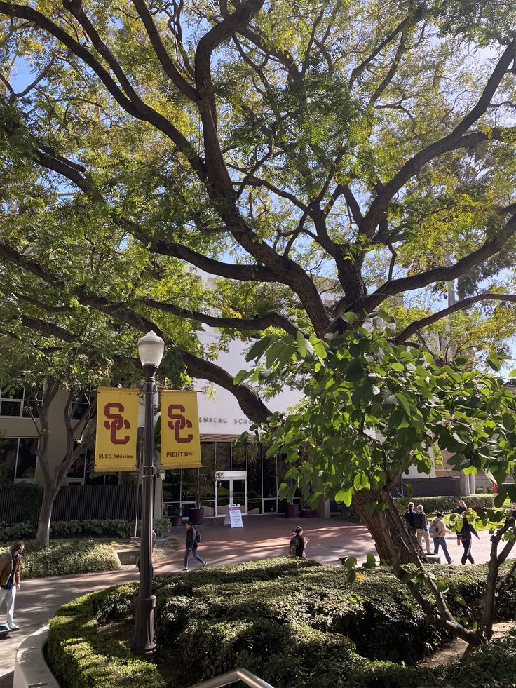 people walking around in front of a building with trees and bushes on the side walk