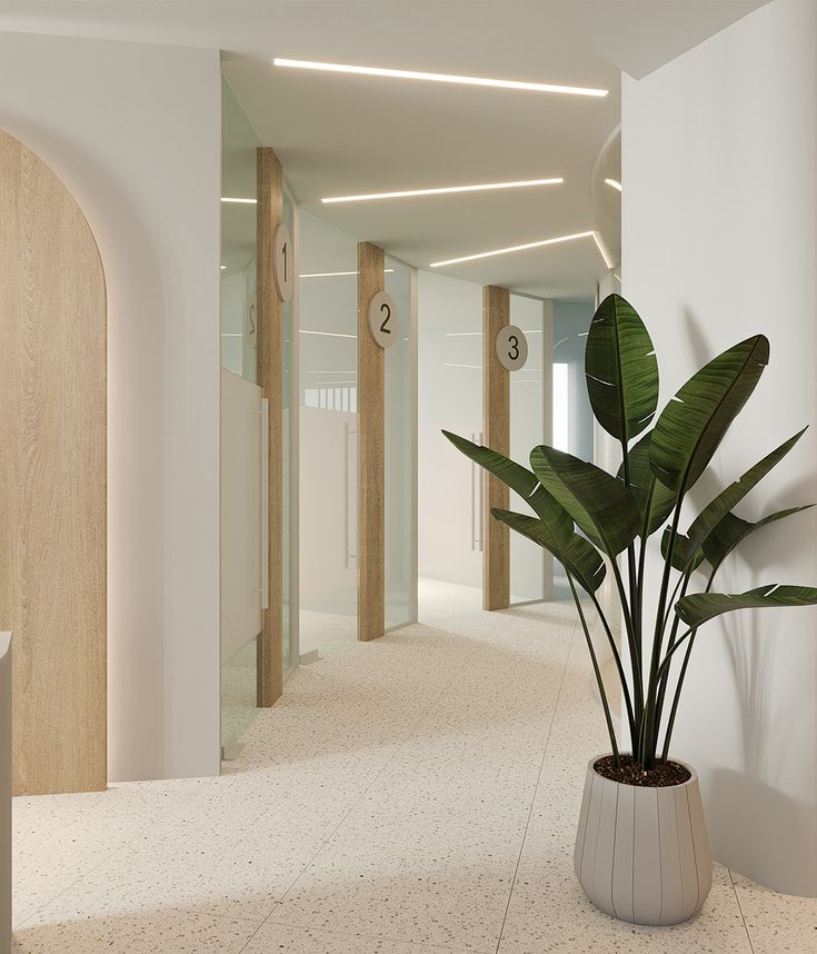 a potted plant in the middle of an empty hallway with lights on either side