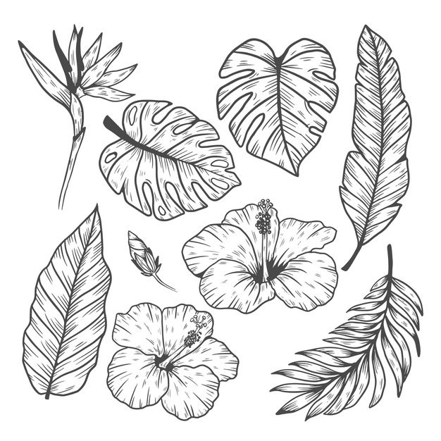 the tropical flowers and leaves are drawn in black ink on a white background, hand - drawn