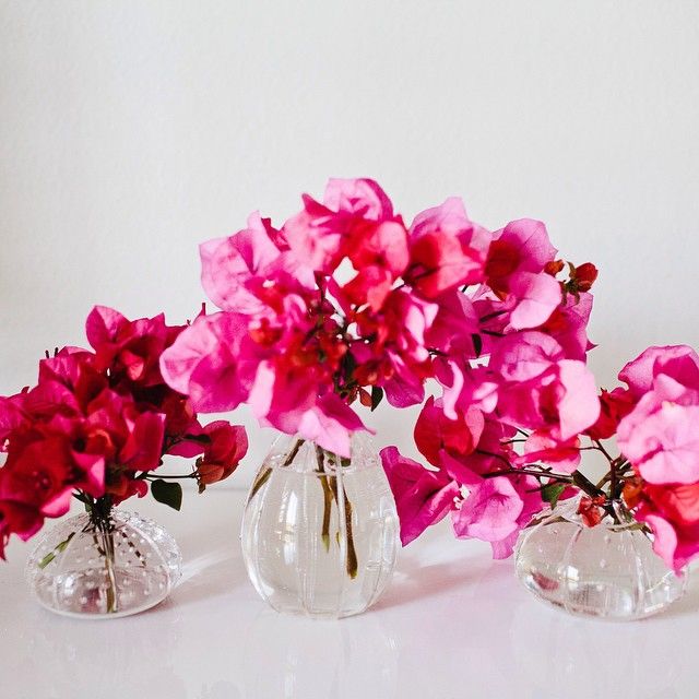 three clear vases with pink flowers in them