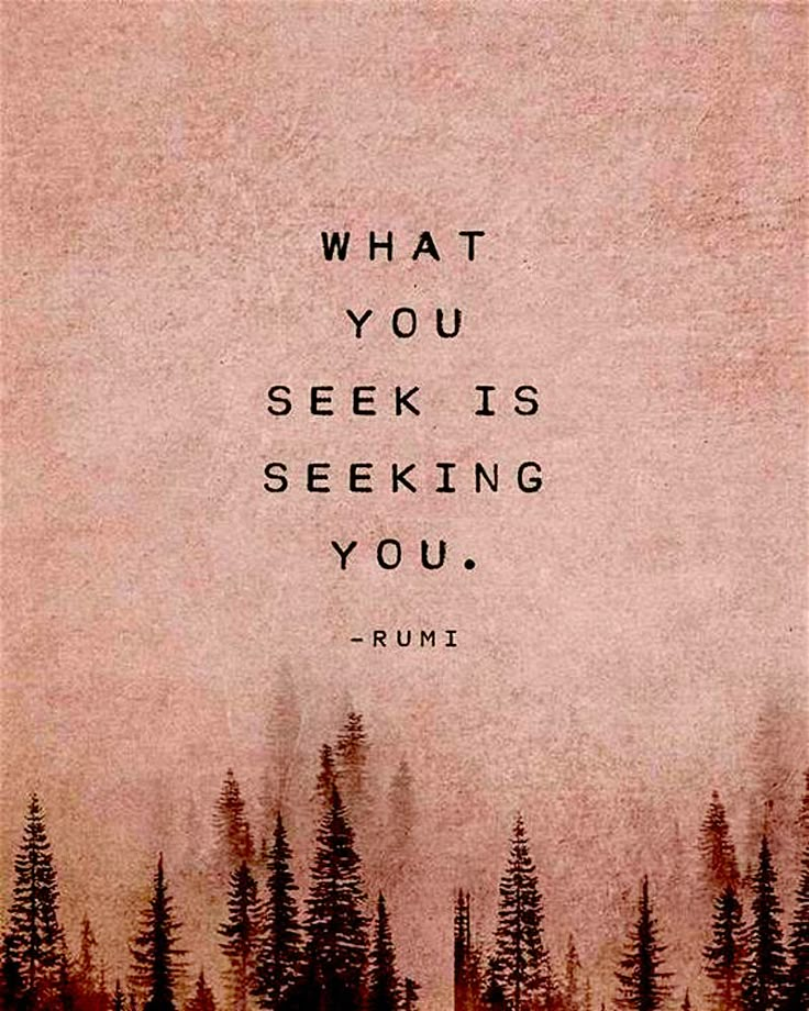 an image of a forest with the words what you seek is seeking you rumi