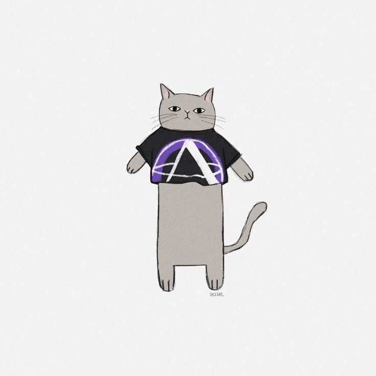 a cat with a t - shirt that has the letter a on it