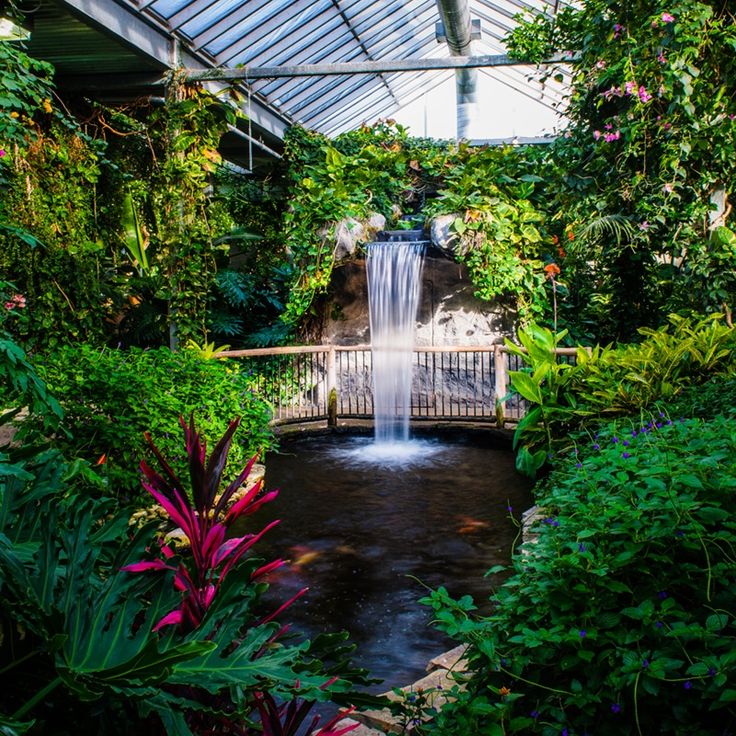 a waterfall in the middle of a tropical garden