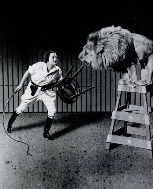 a man standing next to a lion on top of a ladder