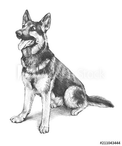 a black and white drawing of a dog sitting down with its tongue out in front of the camera