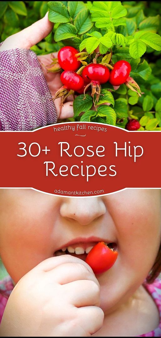 a baby with berries on it's head and the words 30 rose hip recipes