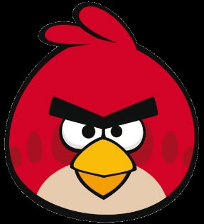 an angry red bird with big eyes