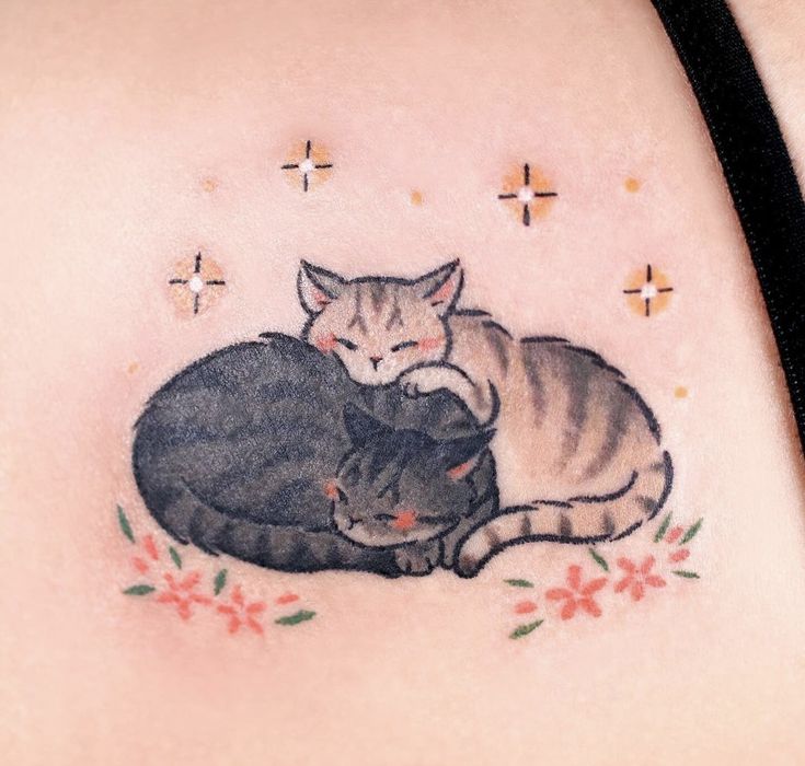 two cats laying next to each other on a woman's stomach