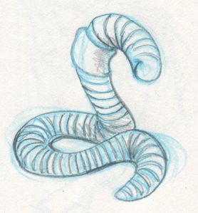 a pencil drawing of a striped snake