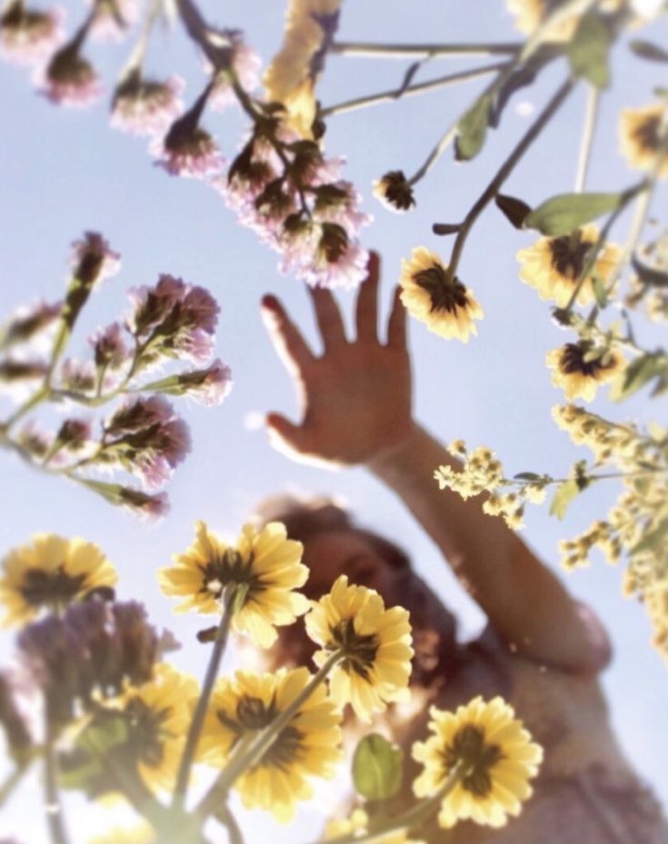 a person reaching up into the air with their hands in front of yellow and purple flowers