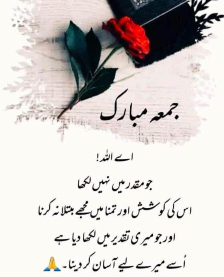 an islamic poem written in arabic with a red rose on top of it and the words,