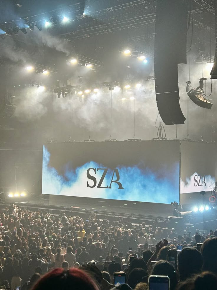 Sza Concert Captions, Music Tour Aesthetic, Sza Music Aesthetic, Sza Concert Wallpaper, Concert Aesthetic Black Women, Sza Concert Aesthetic, Sza Tour Aesthetic, Sza Aesthetic Concert, Sza Concert Pictures