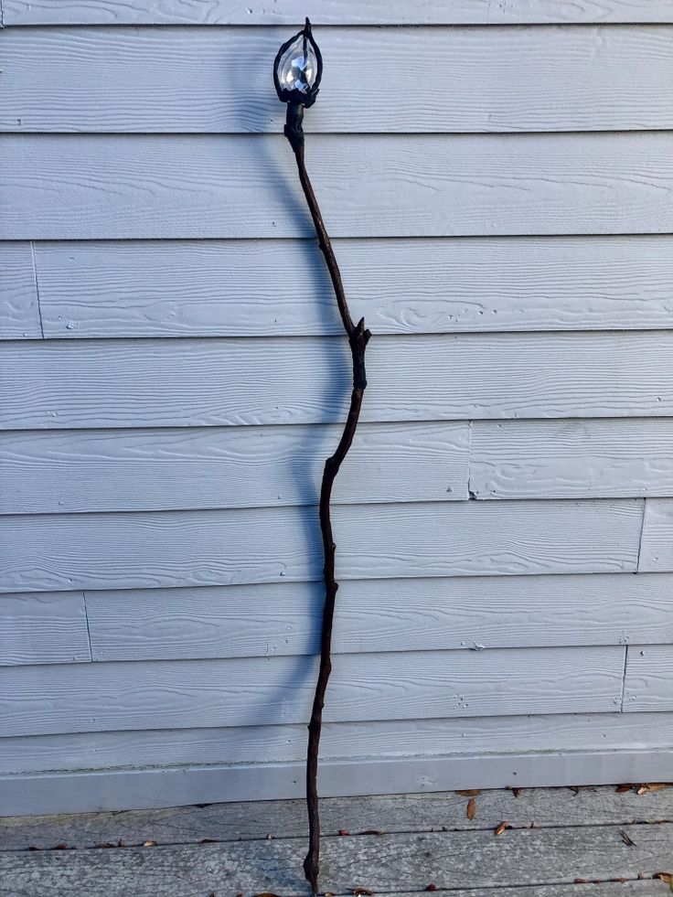 a small tree branch with a light on it in front of a white wall and blue siding