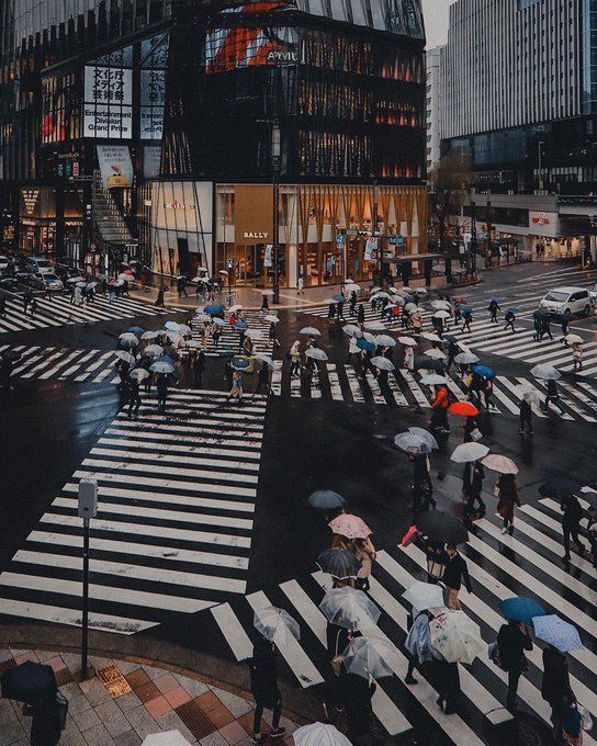 many people are crossing the street with umbrellas