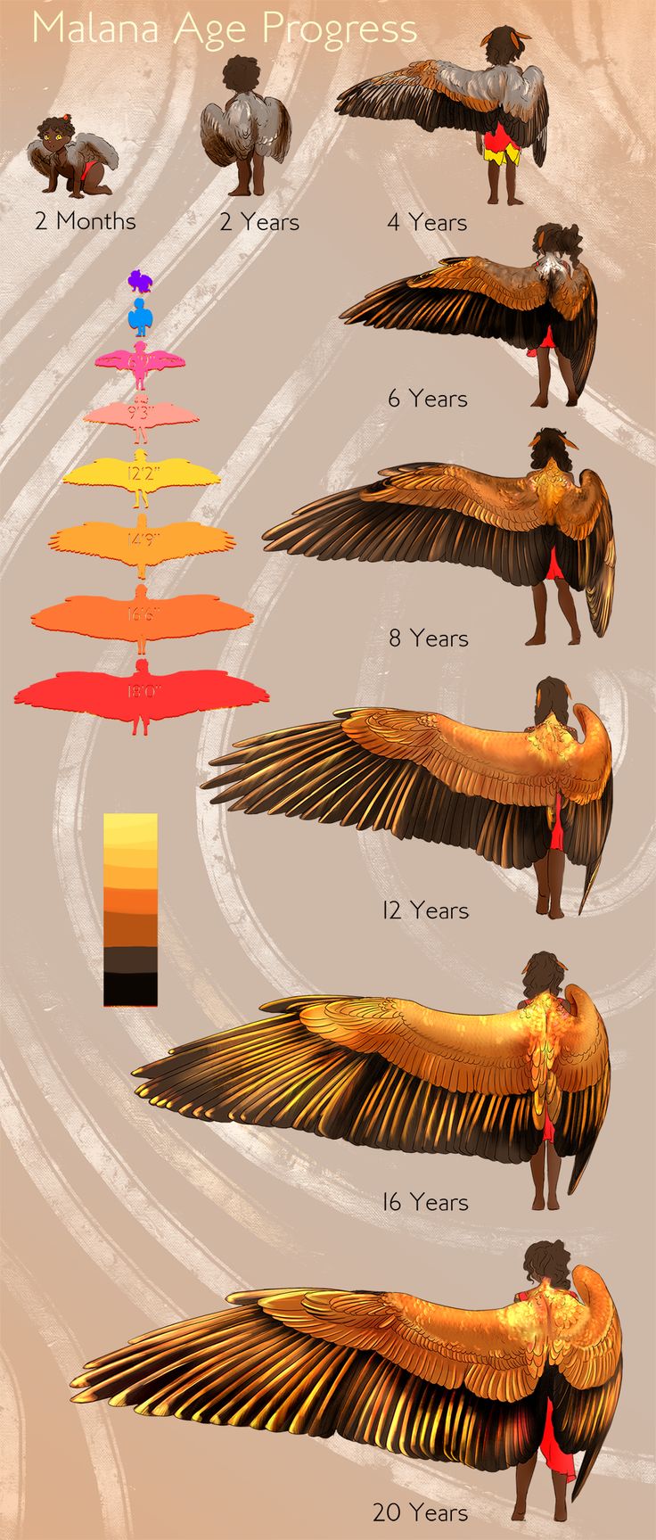 an image of different types of birds with their wings spread out and numbers on them