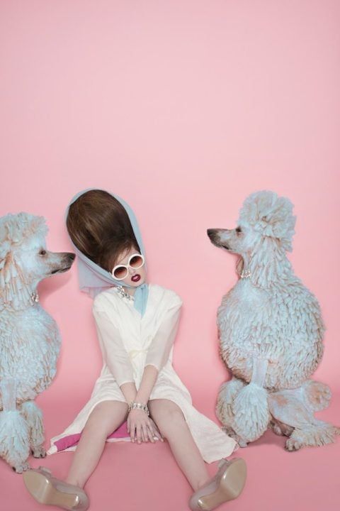 a woman sitting on the ground next to two poodles wearing white clothing and sunglasses