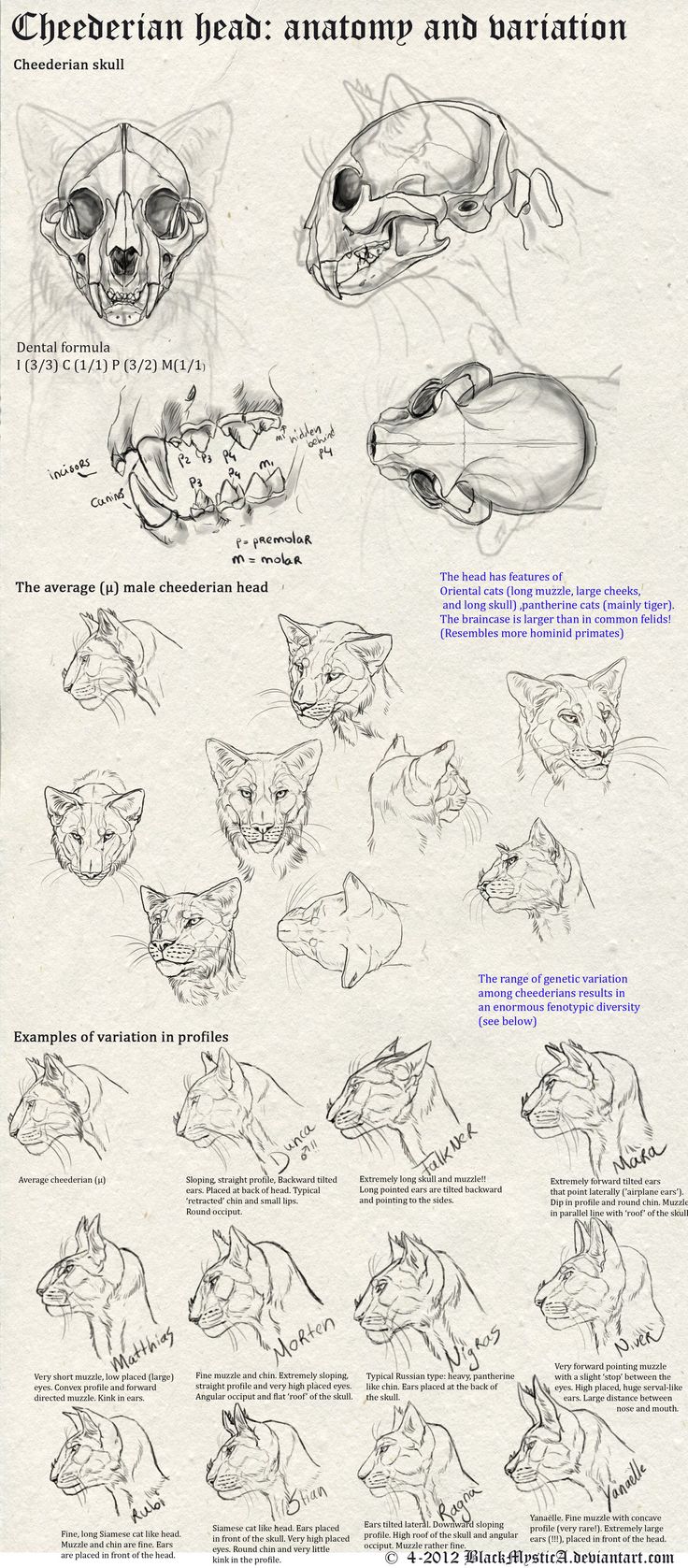 an image of some animal sketches on paper