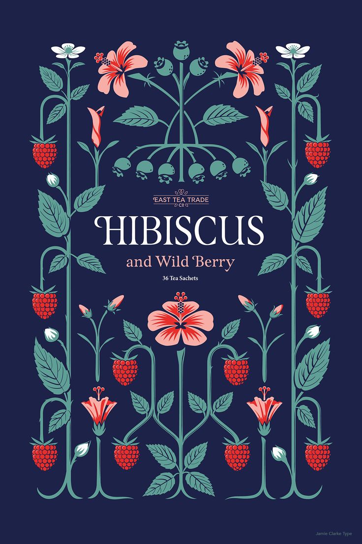 the cover of hibiscus and wild berry, with an illustration of strawberries