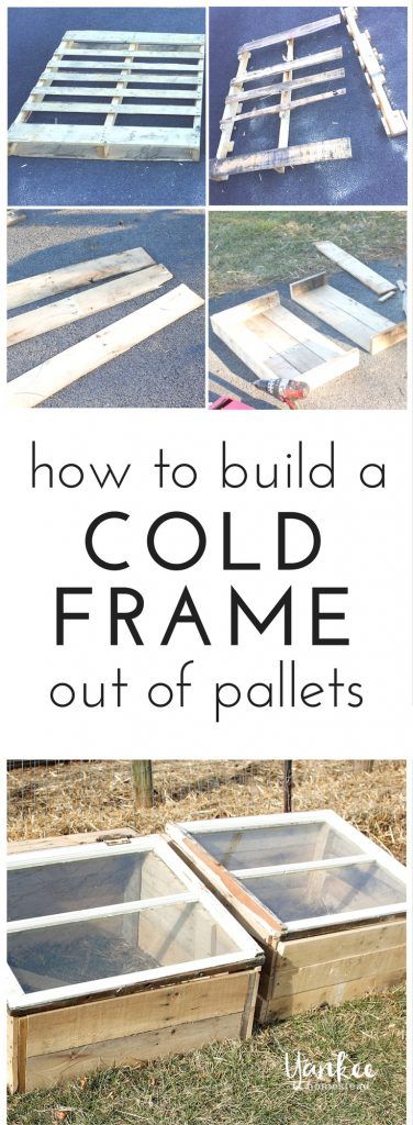 how to build a cold frame out of pallets with pictures and text overlay