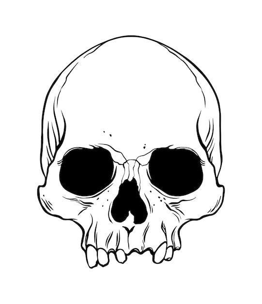 a black and white drawing of a skull