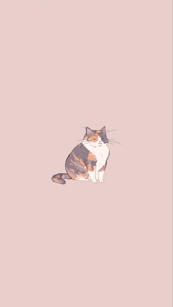 a cat sitting on top of a pink floor next to a white and brown wall