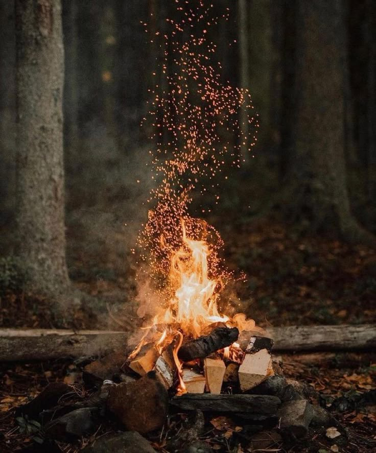 a campfire in the middle of a forest with lots of sparks coming out of it