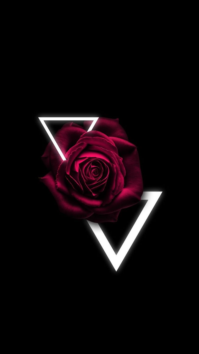 a red rose is in the middle of a white triangle on a black background,