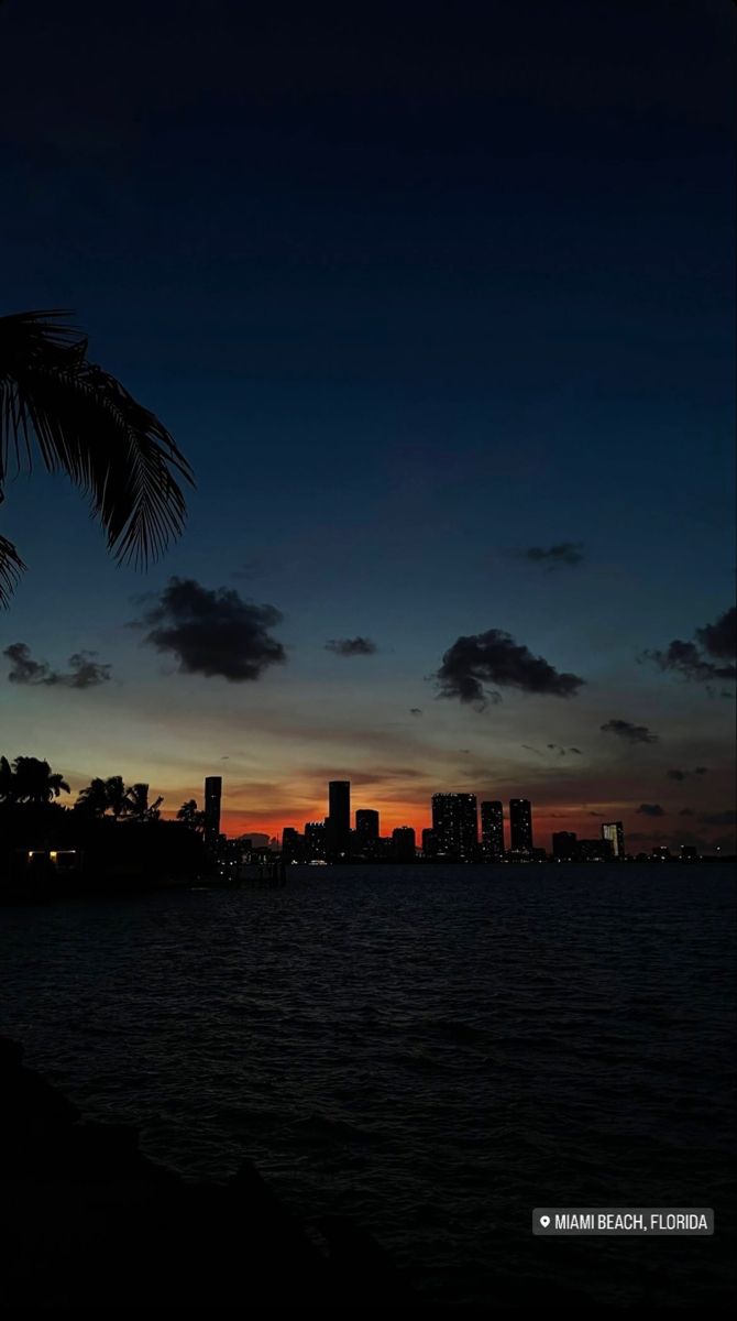 the sun is setting in front of a cityscape with palm trees and water