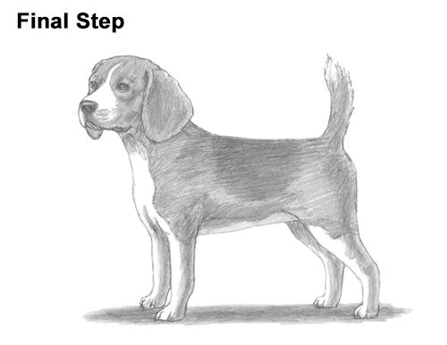 a drawing of a dog with the words final step