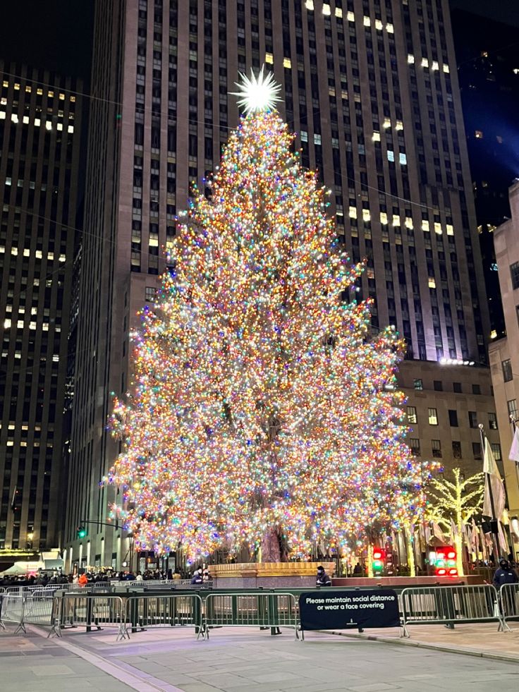 a large christmas tree is lit up in the city